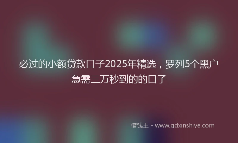 必过的小额贷款口子2025年精选，罗列5个黑户急需三万秒到的的口子