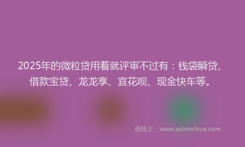 2025年的微粒贷用着就评审不过有：钱袋瞬贷、借款宝贷、龙龙享、宜花呗、现金快车等。
