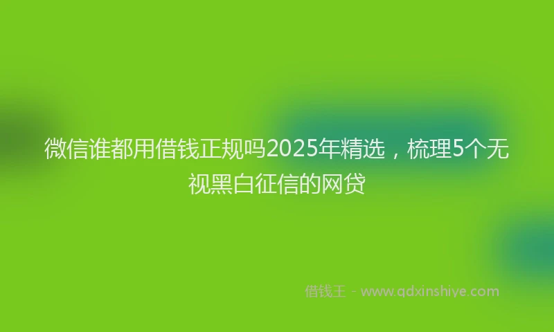 微信谁都用借钱正规吗2025年精选，梳理5个无视黑白征信的网贷