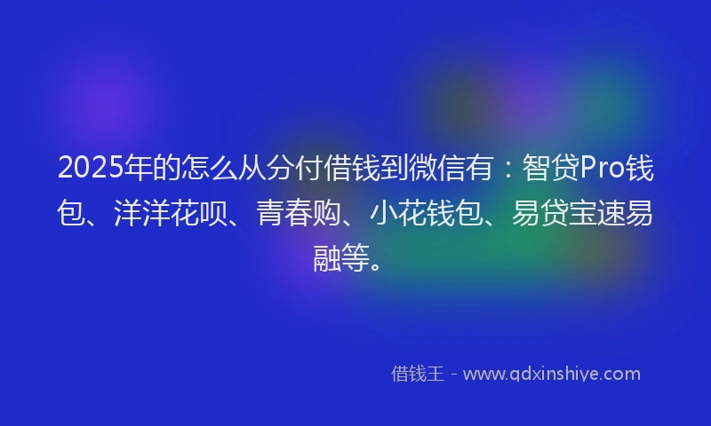 2025年的怎么从分付借钱到微信有：智贷Pro钱包、洋洋花呗、青春购、小花钱包、易贷宝速易融等。