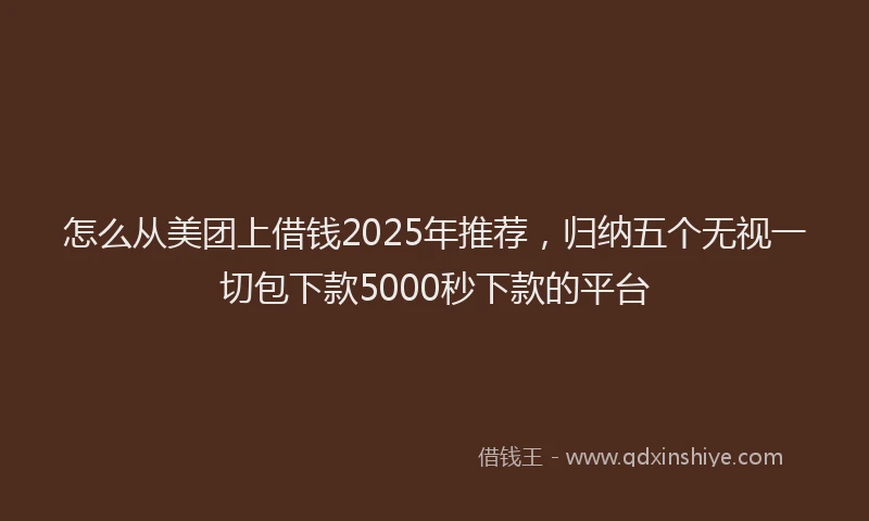 怎么从美团上借钱2025年推荐，归纳五个无视一切包下款5000秒下款的平台