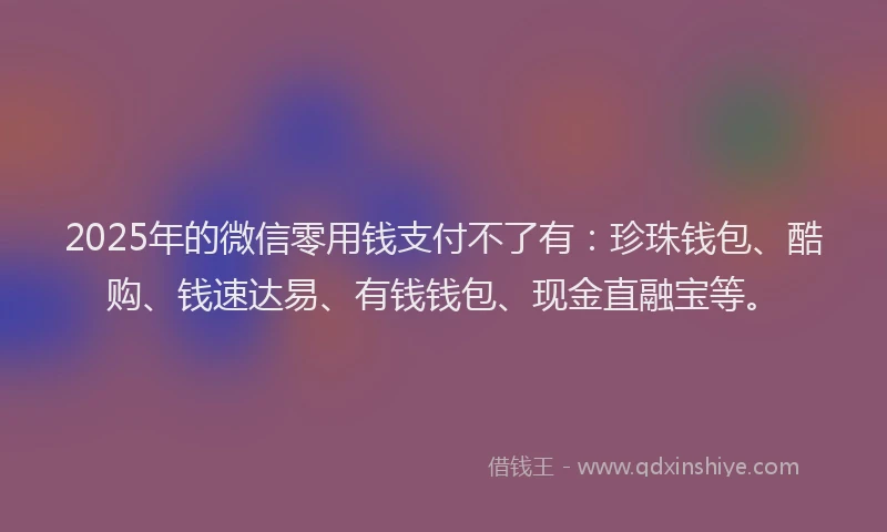 2025年的微信零用钱支付不了有：珍珠钱包、酷购、钱速达易、有钱钱包、现金直融宝等。