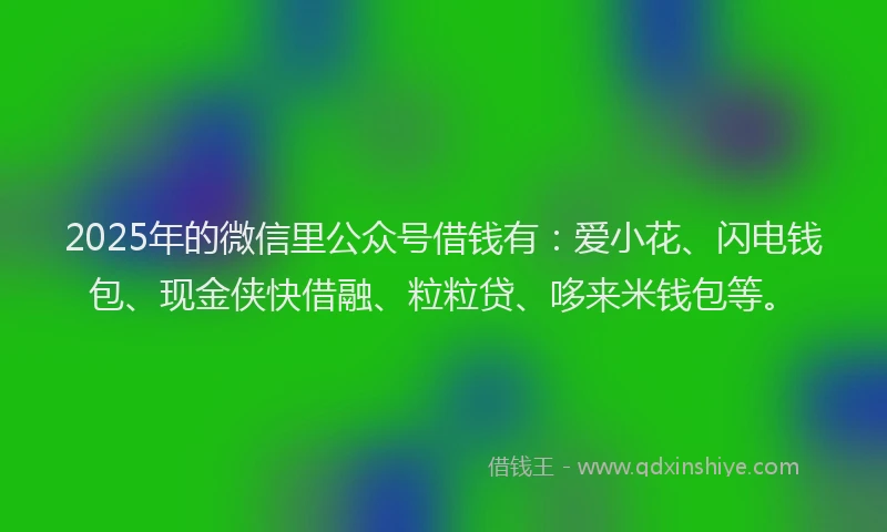 2025年的微信里公众号借钱有：爱小花、闪电钱包、现金侠快借融、粒粒贷、哆来米钱包等。