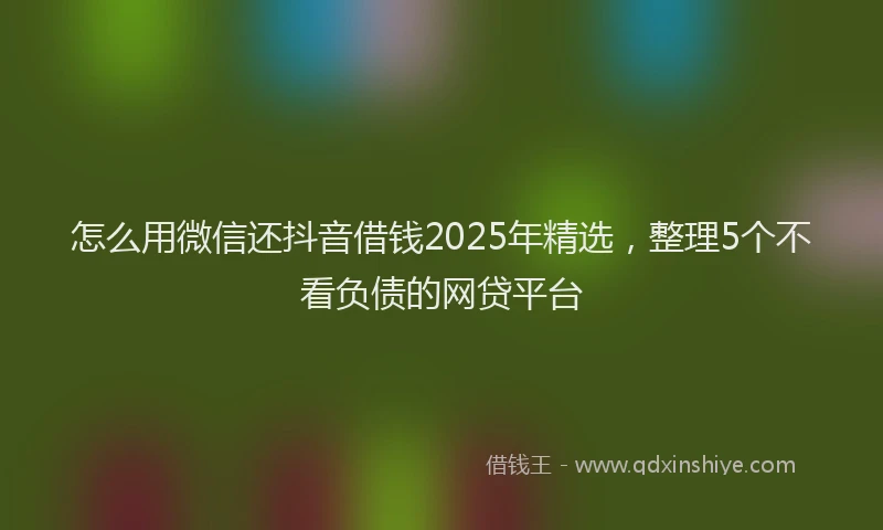 怎么用微信还抖音借钱2025年精选，整理5个不看负债的网贷平台