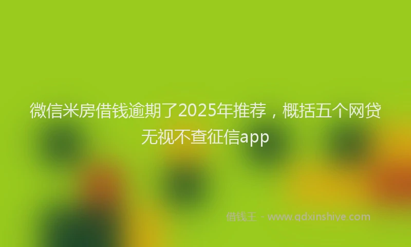 微信米房借钱逾期了2025年推荐，概括五个网贷无视不查征信app