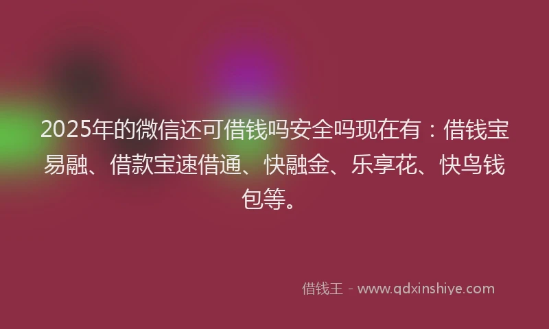 2025年的微信还可借钱吗安全吗现在有：借钱宝易融、借款宝速借通、快融金、乐享花、快鸟钱包等。