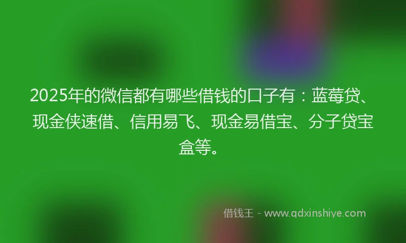 2025年的微信都有哪些借钱的口子有：蓝莓贷、现金侠速借、信用易飞、现金易借宝、分子贷宝盒等。