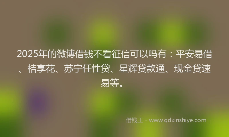 2025年的微博借钱不看征信可以吗有：平安易借、桔享花、苏宁任性贷、星辉贷款通、现金贷速易等。