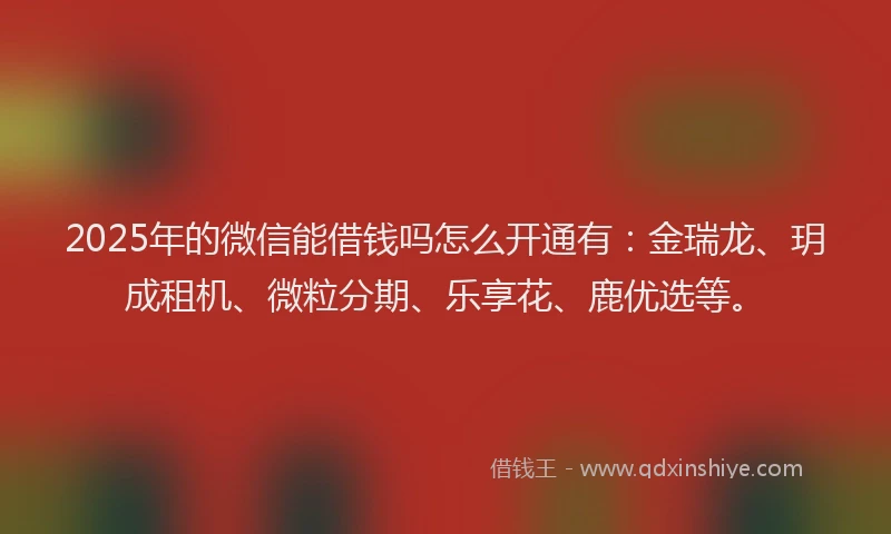 2025年的微信能借钱吗怎么开通有：金瑞龙、玥成租机、微粒分期、乐享花、鹿优选等。