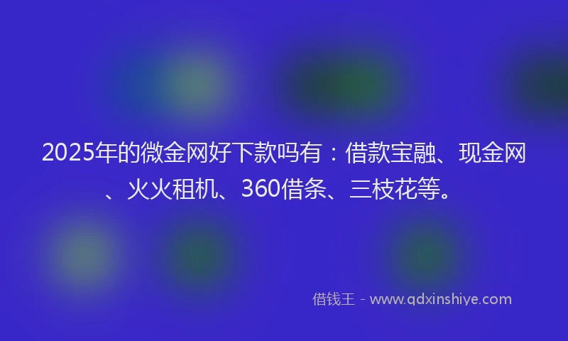 2025年的微金网好下款吗有：借款宝融、现金网、火火租机、360借条、三枝花等。