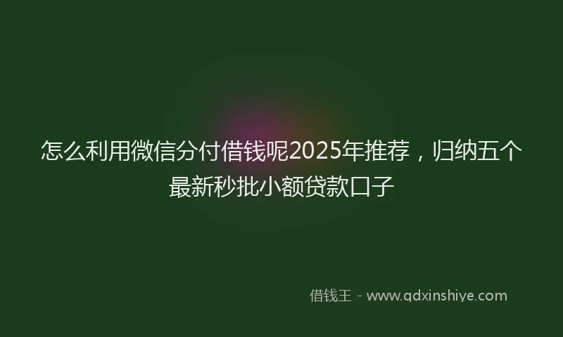 怎么利用微信分付借钱呢2025年推荐，归纳五个最新秒批小额贷款口子