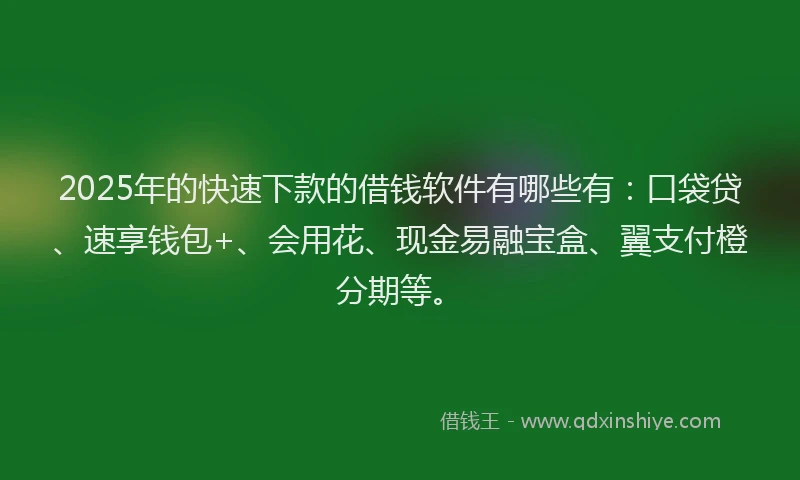 2025年的快速下款的借钱软件有哪些有：口袋贷、速享钱包+、会用花、现金易融宝盒、翼支付橙分期等。