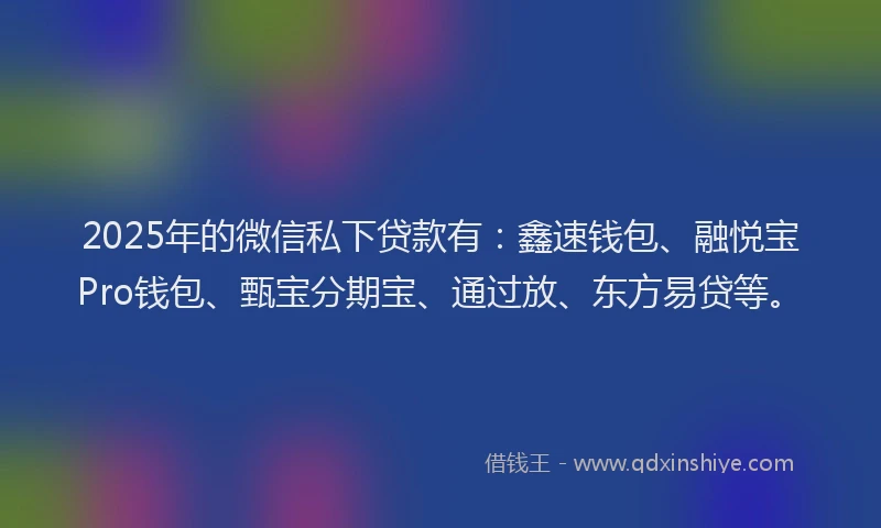 2025年的微信私下贷款有：鑫速钱包、融悦宝Pro钱包、甄宝分期宝、通过放、东方易贷等。