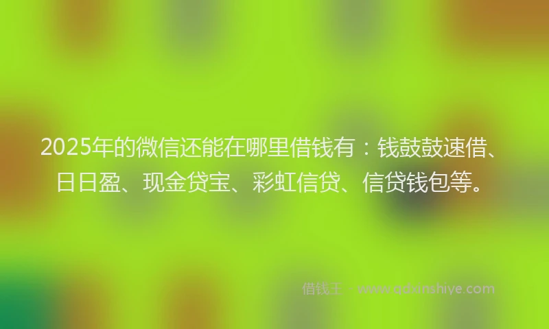 2025年的微信还能在哪里借钱有：钱鼓鼓速借、日日盈、现金贷宝、彩虹信贷、信贷钱包等。