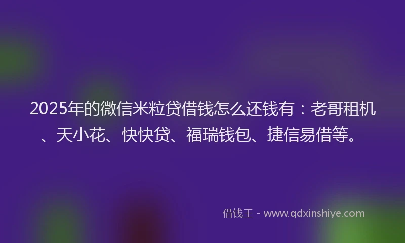 2025年的微信米粒贷借钱怎么还钱有：老哥租机、天小花、快快贷、福瑞钱包、捷信易借等。