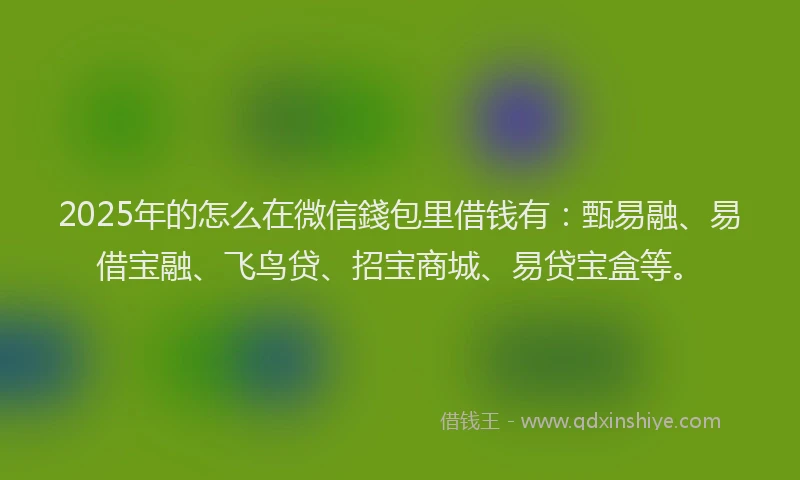 2025年的怎么在微信錢包里借钱有：甄易融、易借宝融、飞鸟贷、招宝商城、易贷宝盒等。