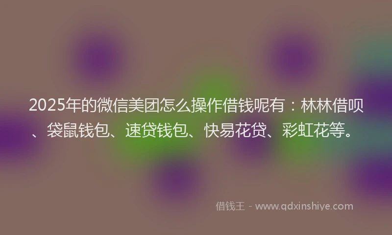 2025年的微信美团怎么操作借钱呢有：林林借呗、袋鼠钱包、速贷钱包、快易花贷、彩虹花等。
