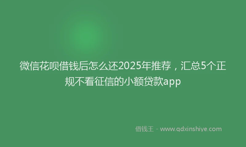 微信花呗借钱后怎么还2025年推荐，汇总5个正规不看征信的小额贷款app