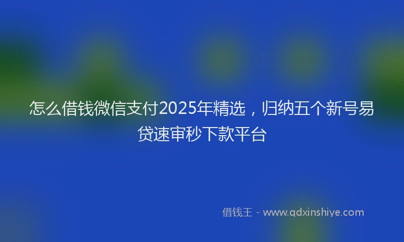 怎么借钱微信支付2025年精选，归纳五个新号易贷速审秒下款平台