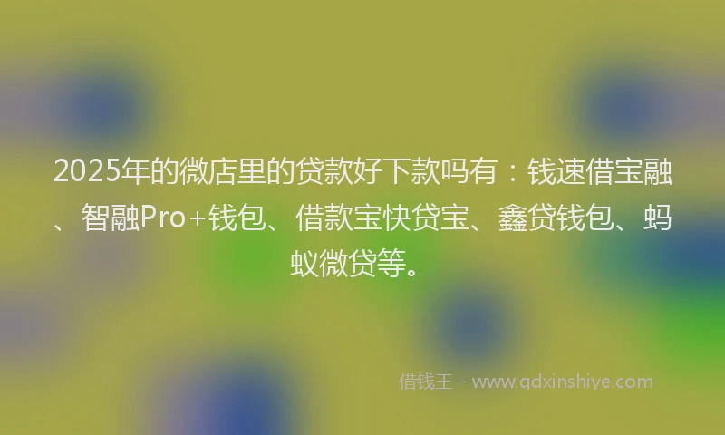 2025年的微店里的贷款好下款吗有：钱速借宝融、智融Pro+钱包、借款宝快贷宝、鑫贷钱包、蚂蚁微贷等。