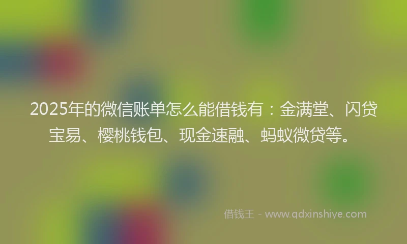 2025年的微信账单怎么能借钱有：金满堂、闪贷宝易、樱桃钱包、现金速融、蚂蚁微贷等。