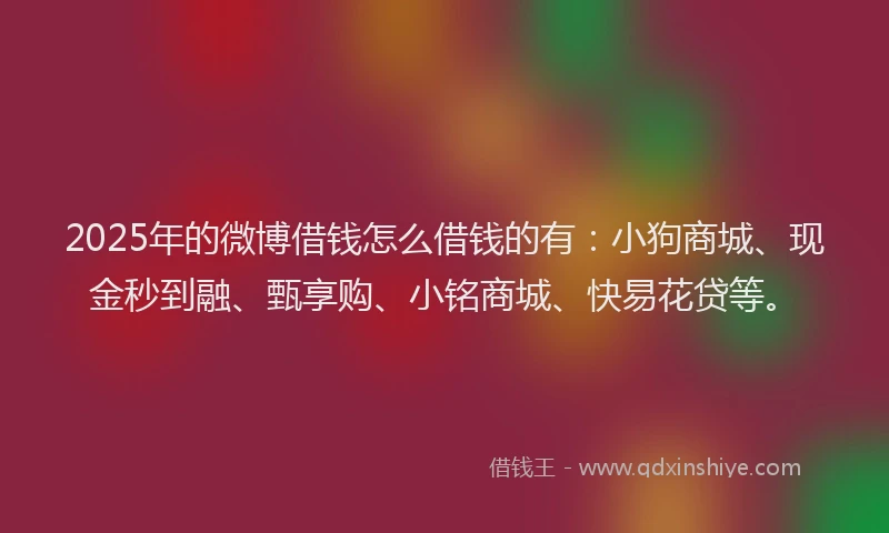 2025年的微博借钱怎么借钱的有：小狗商城、现金秒到融、甄享购、小铭商城、快易花贷等。