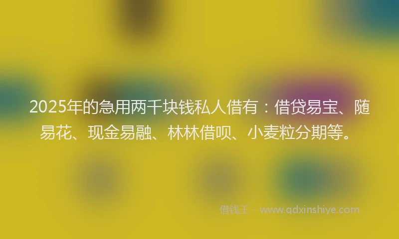 2025年的急用两千块钱私人借有：借贷易宝、随易花、现金易融、林林借呗、小麦粒分期等。