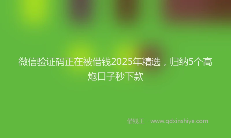 微信验证码正在被借钱2025年精选，归纳5个高炮口子秒下款