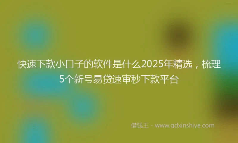 快速下款小口子的软件是什么2025年精选，梳理5个新号易贷速审秒下款平台