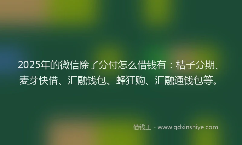 2025年的微信除了分付怎么借钱有：桔子分期、麦芽快借、汇融钱包、蜂狂购、汇融通钱包等。