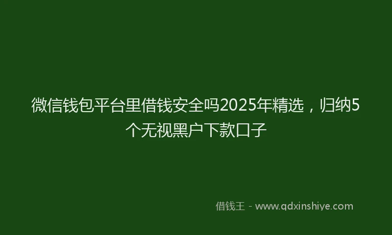 微信钱包平台里借钱安全吗2025年精选，归纳5个无视黑户下款口子