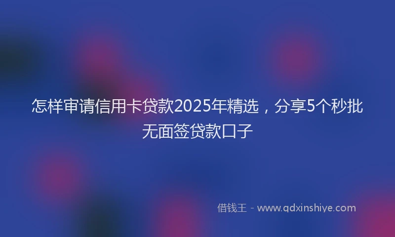 怎样审请信用卡贷款2025年精选，分享5个秒批无面签贷款口子