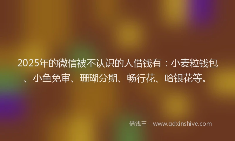 2025年的微信被不认识的人借钱有：小麦粒钱包、小鱼免审、珊瑚分期、畅行花、哈银花等。
