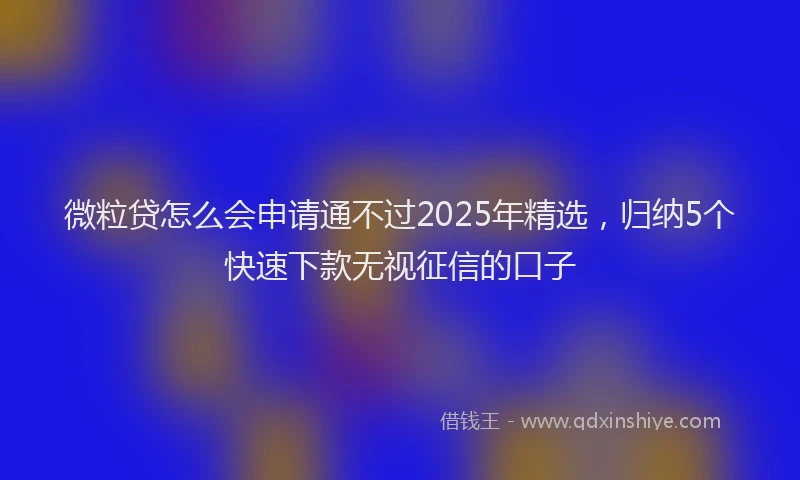 微粒贷怎么会申请通不过2025年精选，归纳5个快速下款无视征信的口子