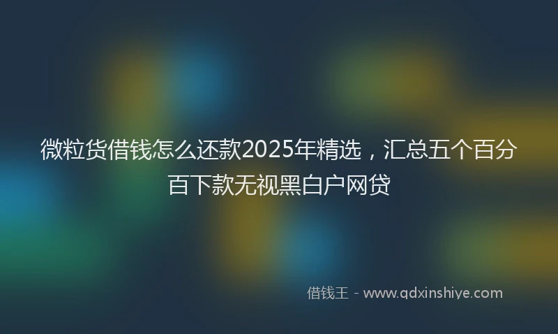 微粒货借钱怎么还款2025年精选，汇总五个百分百下款无视黑白户网贷