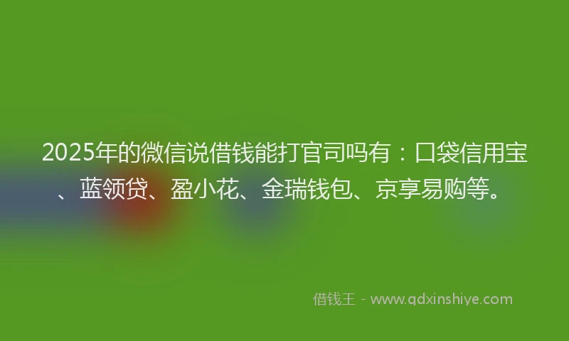 2025年的微信说借钱能打官司吗有：口袋信用宝、蓝领贷、盈小花、金瑞钱包、京享易购等。