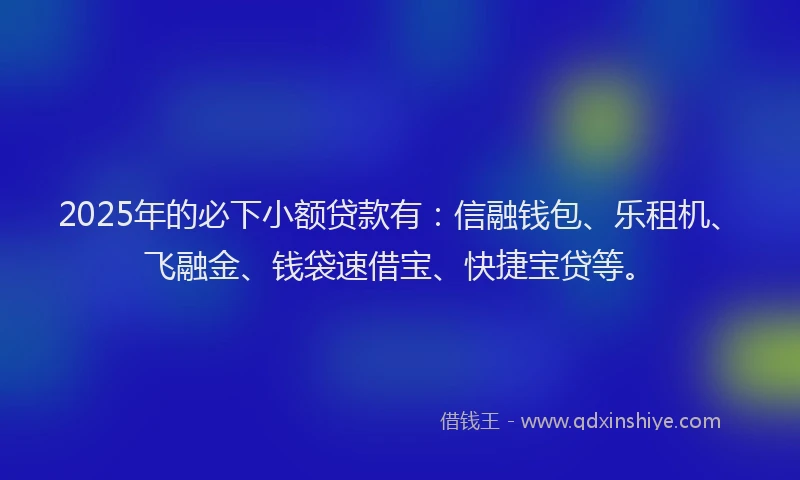2025年的必下小额贷款有：信融钱包、乐租机、飞融金、钱袋速借宝、快捷宝贷等。