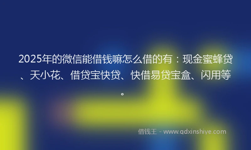 2025年的微信能借钱嘛怎么借的有：现金蜜蜂贷、天小花、借贷宝快贷、快借易贷宝盒、闪用等。
