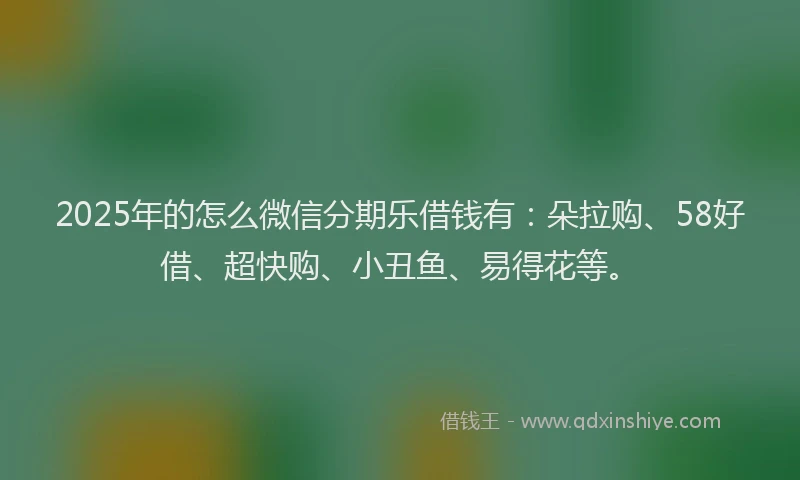 2025年的怎么微信分期乐借钱有：朵拉购、58好借、超快购、小丑鱼、易得花等。