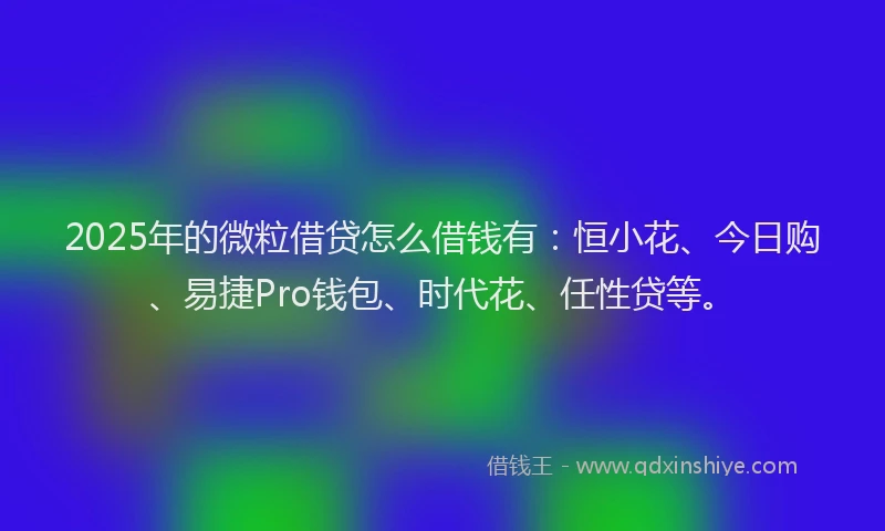 2025年的微粒借贷怎么借钱有：恒小花、今日购、易捷Pro钱包、时代花、任性贷等。