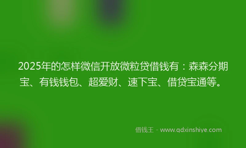 2025年的怎样微信开放微粒贷借钱有：森森分期宝、有钱钱包、超爱财、速下宝、借贷宝通等。