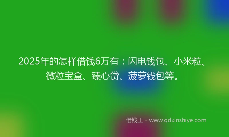 2025年的怎样借钱6万有：闪电钱包、小米粒、微粒宝盒、臻心贷、菠萝钱包等。
