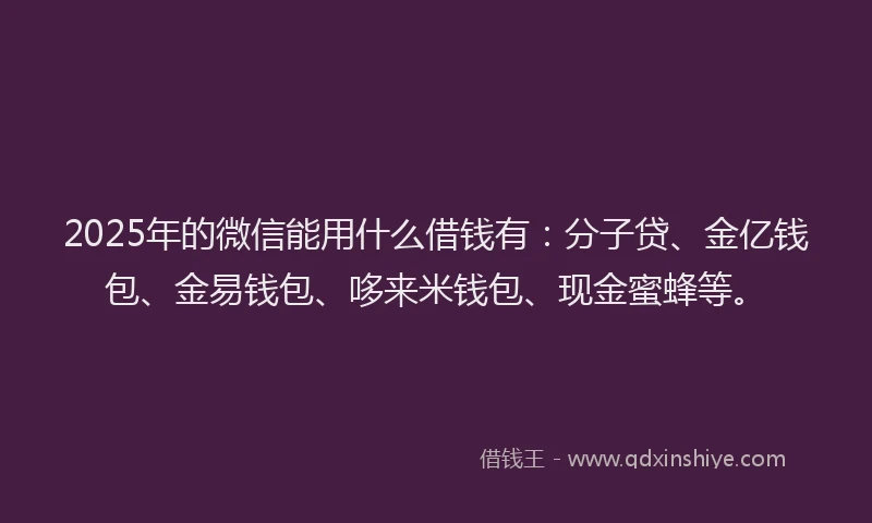 2025年的微信能用什么借钱有：分子贷、金亿钱包、金易钱包、哆来米钱包、现金蜜蜂等。