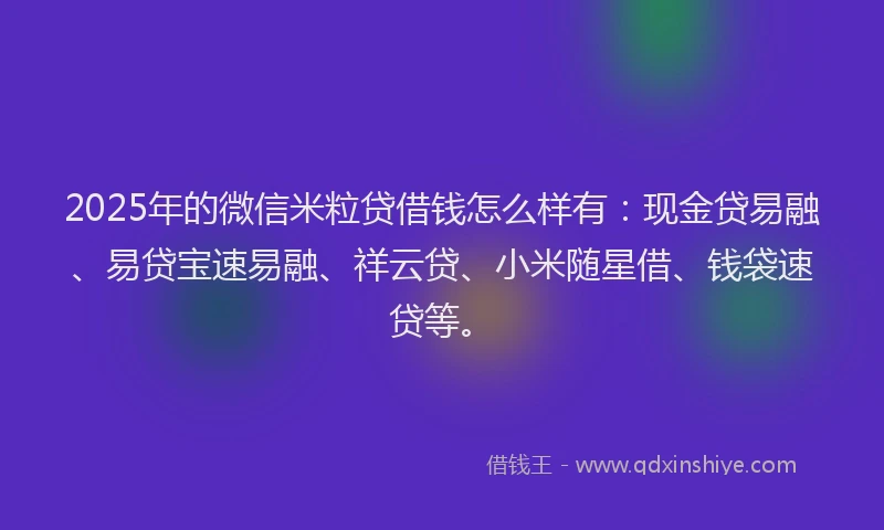 2025年的微信米粒贷借钱怎么样有：现金贷易融、易贷宝速易融、祥云贷、小米随星借、钱袋速贷等。