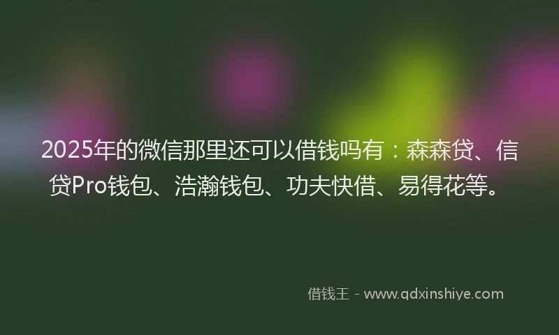 2025年的微信那里还可以借钱吗有：森森贷、信贷Pro钱包、浩瀚钱包、功夫快借、易得花等。