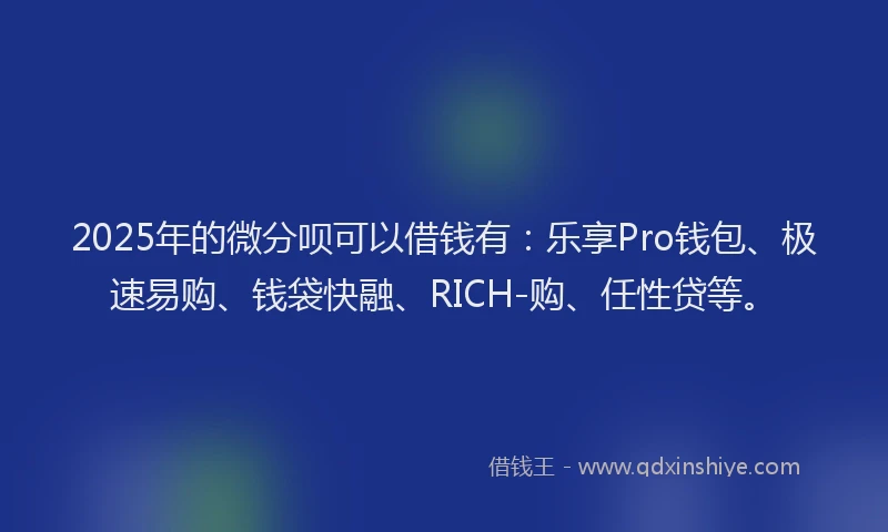 2025年的微分呗可以借钱有：乐享Pro钱包、极速易购、钱袋快融、RICH-购、任性贷等。