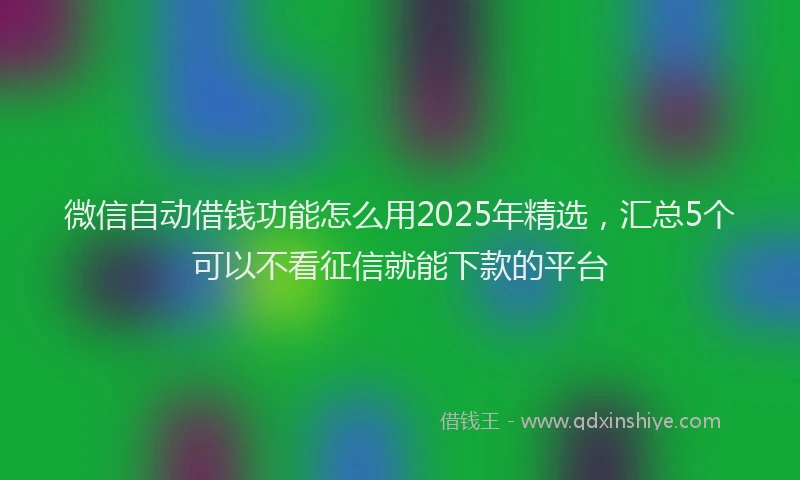 微信自动借钱功能怎么用2025年精选，汇总5个可以不看征信就能下款的平台