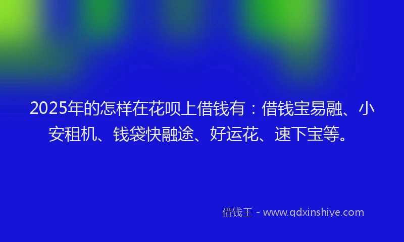 2025年的怎样在花呗上借钱有：借钱宝易融、小安租机、钱袋快融途、好运花、速下宝等。