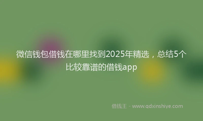 微信钱包借钱在哪里找到2025年精选，总结5个比较靠谱的借钱app