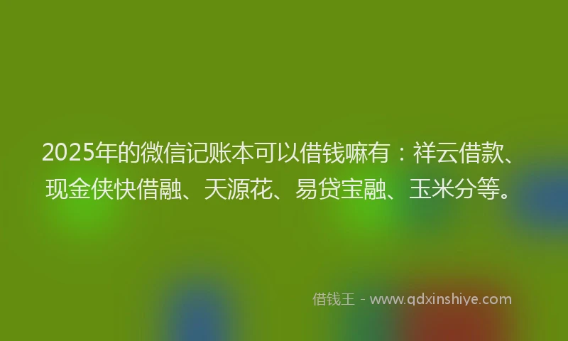 2025年的微信记账本可以借钱嘛有：祥云借款、现金侠快借融、天源花、易贷宝融、玉米分等。